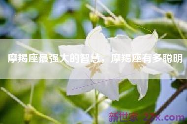 摩羯座最强大的智慧，摩羯座有多聪明