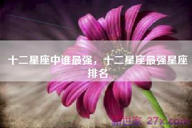 十二星座中谁最强，十二星座最强星座排名
