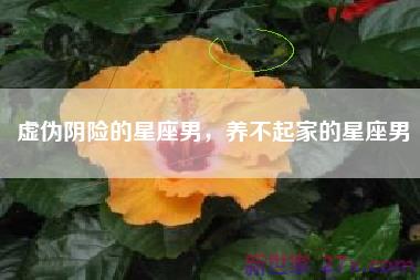 虚伪阴险的星座男，养不起家的星座男