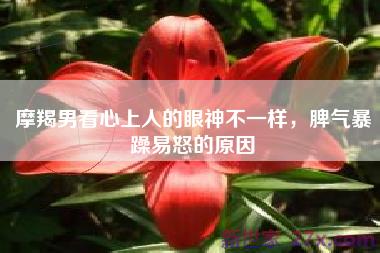 摩羯男看心上人的眼神不一样，脾气暴躁易怒的原因