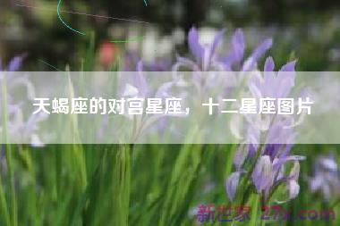 天蝎座的对宫星座，十二星座图片
