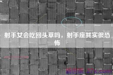 射手女会吃回头草吗，射手座其实很恐怖