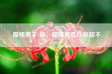 摩羯男不 你，摩羯男喜欢你却不