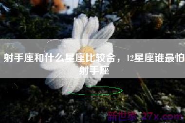 射手座和什么星座比较合，12星座谁最怕射手座