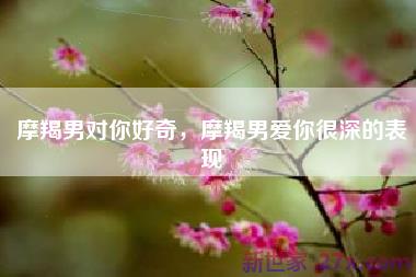 摩羯男对你好奇，摩羯男爱你很深的表现