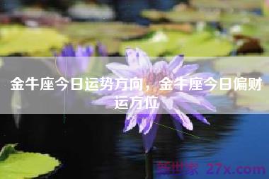 金牛座今日运势方向，金牛座今日偏财运方位