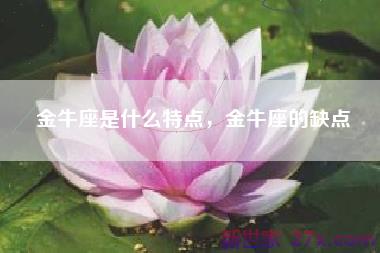 金牛座是什么特点，金牛座的缺点