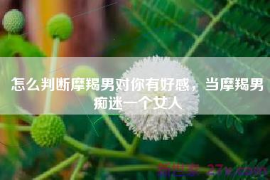怎么判断摩羯男对你有好感，当摩羯男痴迷一个女人