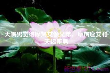 天蝎男觉得摩羯女像兄弟，摩羯座女和天蝎座男