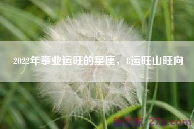 2022年事业运旺的星座，8运旺山旺向