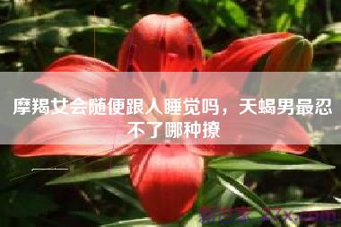 摩羯女会随便跟人睡觉吗，天蝎男最忍不了哪种撩