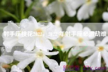 射手座桃花2022，2022 年射手座必遭劫难