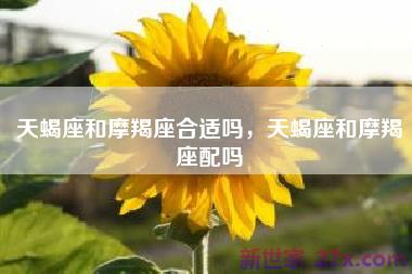 天蝎座和摩羯座合适吗，天蝎座和摩羯座配吗