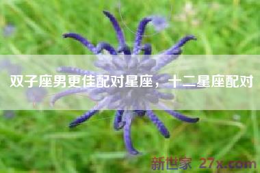 双子座男更佳配对星座，十二星座配对