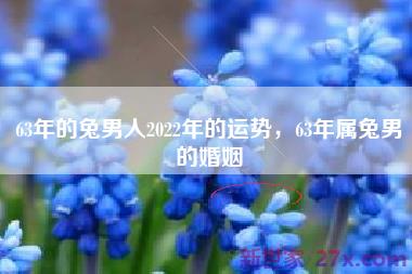63年的兔男人2022年的运势，63年属兔男的婚姻