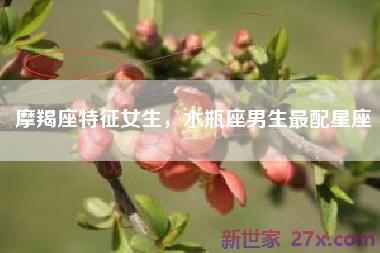 摩羯座特征女生，水瓶座男生最配星座