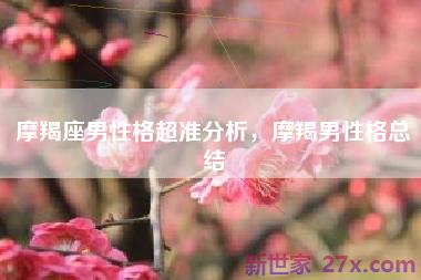 摩羯座男性格超准分析，摩羯男性格总结