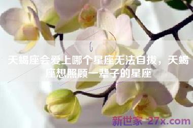 天蝎座会爱上哪个星座无法自拔，天蝎座想照顾一辈子的星座