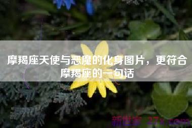 摩羯座天使与恶魔的化身图片，更符合摩羯座的一句话