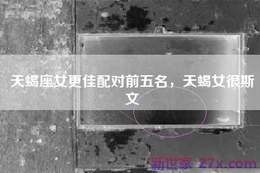 天蝎座女更佳配对前五名，天蝎女很斯文