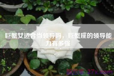巨蟹女适合当领导吗，巨蟹座的领导能力有多强