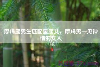 摩羯座男生匹配星座女，摩羯男一见钟情的女人