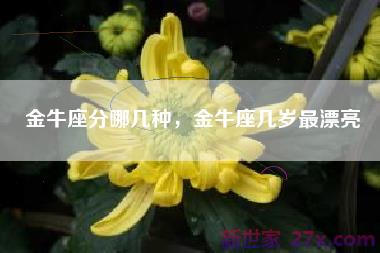 金牛座分哪几种，金牛座几岁最漂亮