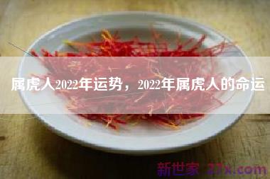 属虎人2022年运势，2022年属虎人的命运