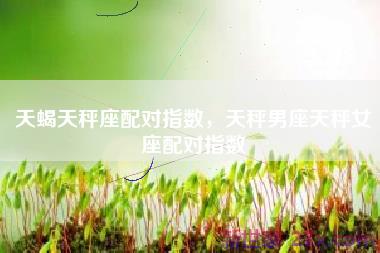 天蝎天秤座配对指数，天秤男座天秤女座配对指数