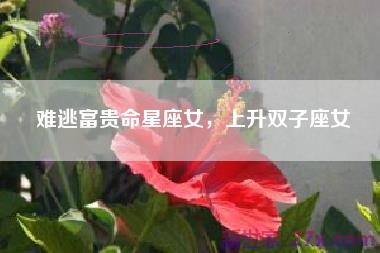 难逃富贵命星座女，上升双子座女