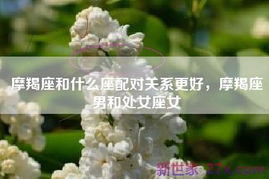 摩羯座和什么座配对关系更好，摩羯座男和处女座女