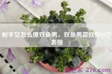 射手女怎么撩双鱼男，双鱼男喜欢你20个表现