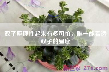 双子座理性起来有多可怕，唯一能看透双子的星座