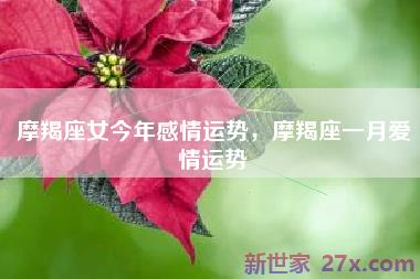摩羯座女今年感情运势，摩羯座一月爱情运势