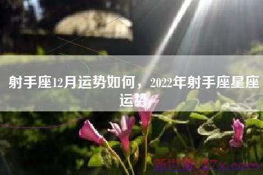 射手座12月运势如何，2022年射手座星座运势