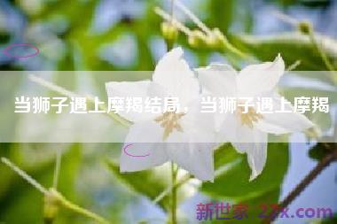 当狮子遇上摩羯结局，当狮子遇上摩羯