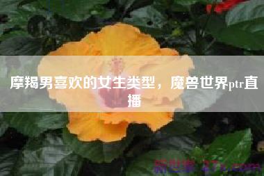 摩羯男喜欢的女生类型，魔兽世界ptr直播