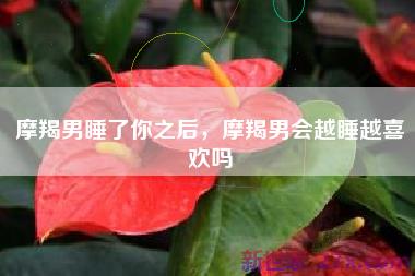 摩羯男睡了你之后，摩羯男会越睡越喜欢吗