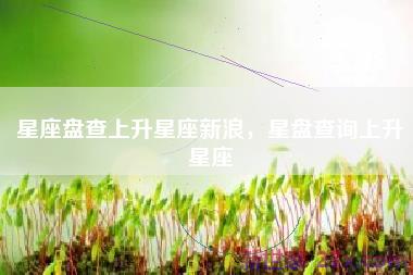 星座盘查上升星座新浪，星盘查询上升星座
