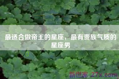 最适合做帝王的星座，最有贵族气质的星座男