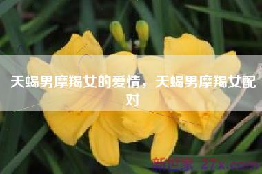 天蝎男摩羯女的爱情，天蝎男摩羯女配对