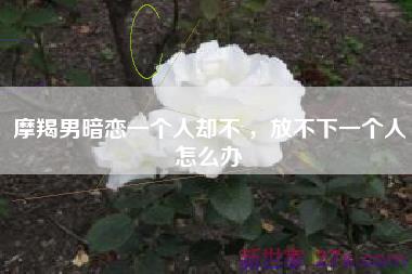 摩羯男暗恋一个人却不 ，放不下一个人怎么办