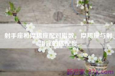 射手座和摩羯座配对指数，摩羯座与射手座的匹配度