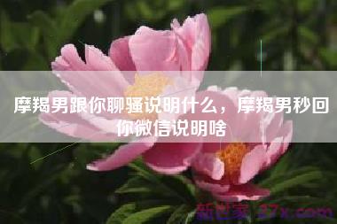 摩羯男跟你聊骚说明什么，摩羯男秒回你微信说明啥