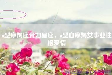 o型摩羯座贵妇星座，o型血摩羯女事业性格爱情