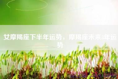 女摩羯座下半年运势，摩羯座未来3年运势