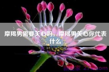 摩羯男需要关心吗，摩羯男关心你代表什么