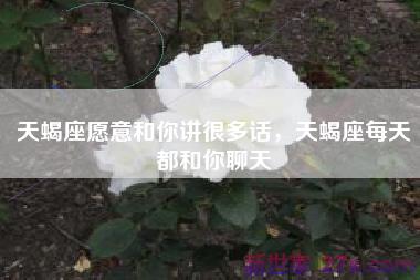 天蝎座愿意和你讲很多话，天蝎座每天都和你聊天