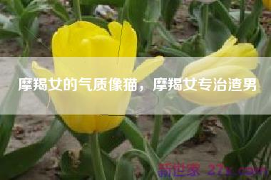 摩羯女的气质像猫，摩羯女专治渣男