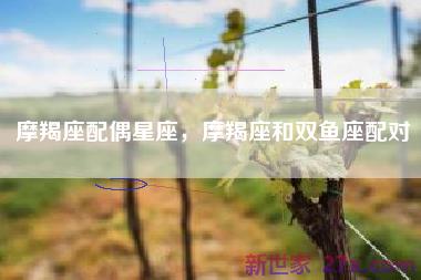 摩羯座配偶星座，摩羯座和双鱼座配对